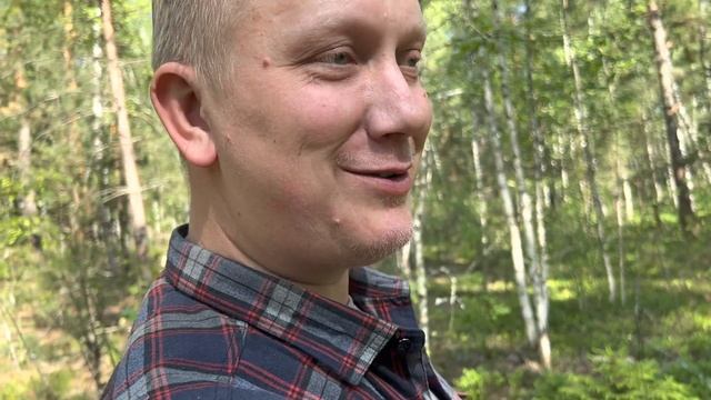 Грибная прогулка и дегустация подберёзовиков ! Грибы 2023 ! смотреть онлайн