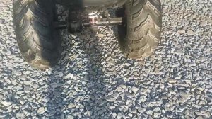 Квадроцикл PROMAX LEO 300 (КАРДАН) отзыв и небольшой обзор владельца