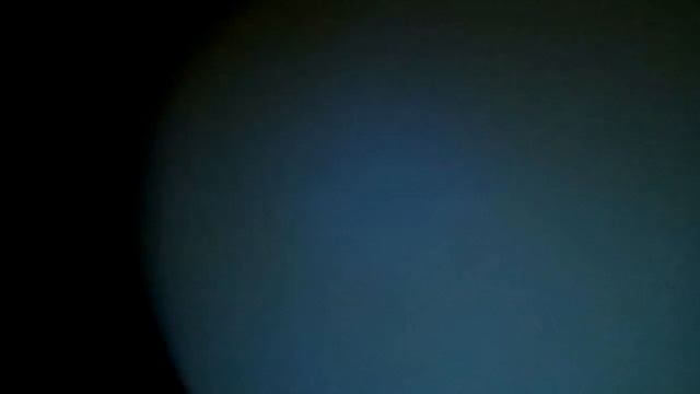 Хранение мандарина в туалете смотреть онлайн