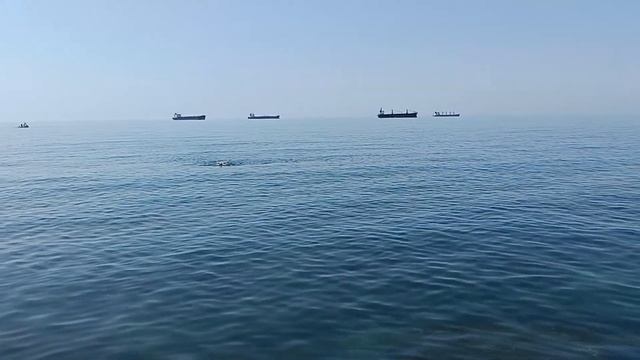 Дедеркой 21 августа 2022