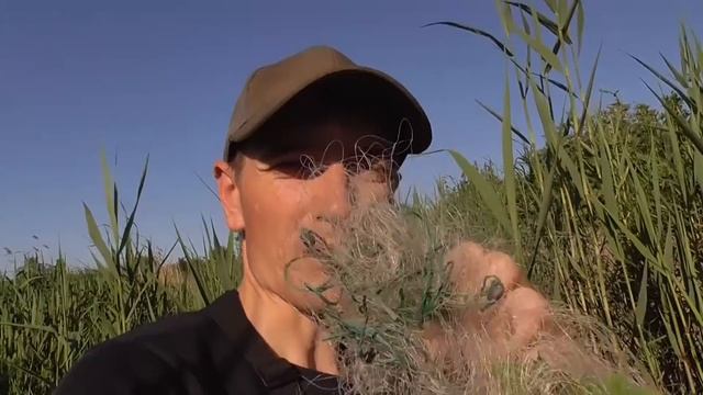 Активный клёв. Рыбы много. Рыбалка на поплавок. Поклёвки крупным планом смотреть онлайн