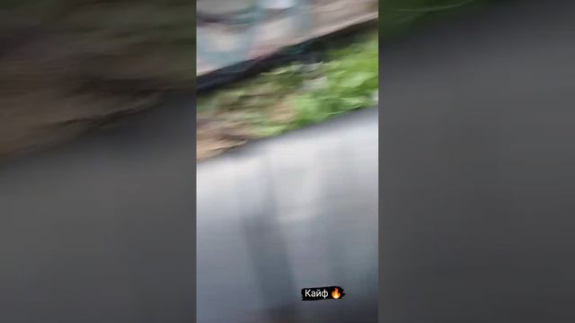 топ без флейт смотреть онлайн