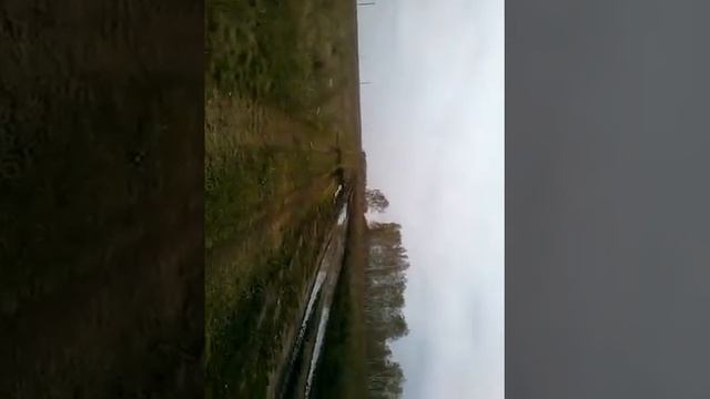 Мопед Альфа 110 кубов..часть 4 -конечная смотреть онлайн
