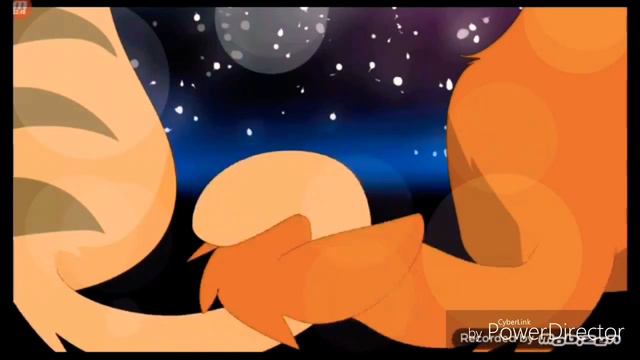 Коты Воители●~●Пьяный дождь●~●клип смотреть онлайн