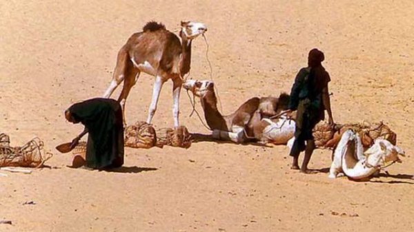 Как выглядит страна Чад