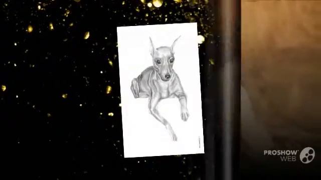 Коротко карликовый пинчер порода собак смотреть онлайн