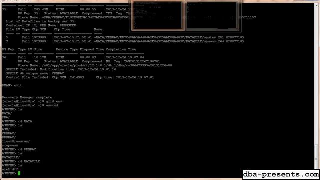 Using RMAN: backup - disaster - recovery demonstration смотреть онлайн