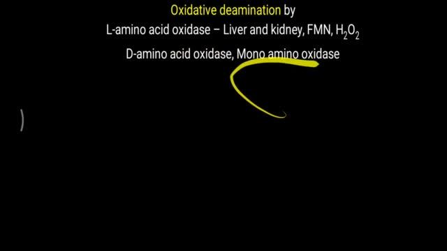 Sources of Ammonia formation.mp4 смотреть онлайн