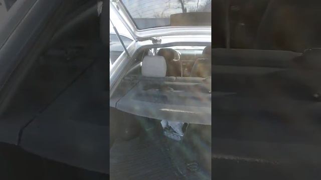 Skoda Octavia RS 1.8 смотреть онлайн