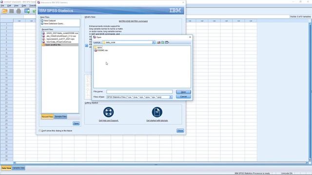 Opening Datasets in SPSS смотреть онлайн