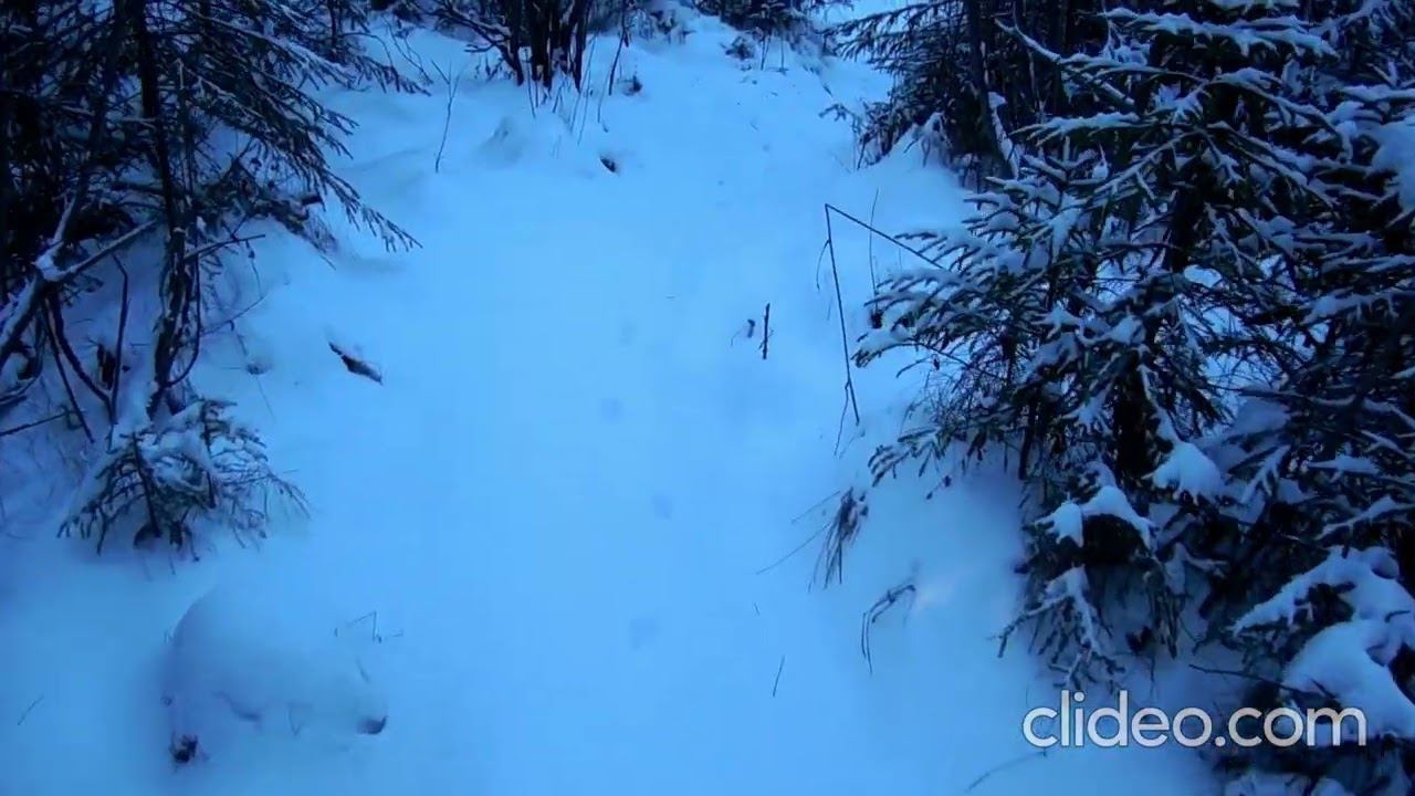 Постановка ПыЖ для КП-120. смотреть онлайн