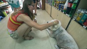 Отдых в Хайнань, Санья, Китая каким мы видели его в августе 2019. Hainan, Sanya travel clip.