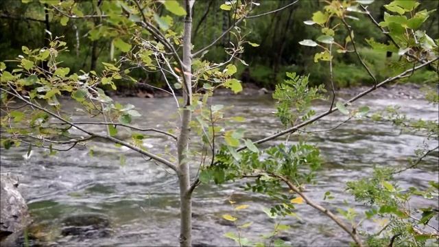 Возлюбив себя открой свой Дух. Медитация с Семьей Света. Ченнелинг. смотреть онлайн