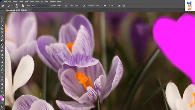 Photoshop Tutorial For Beginners In Nepali | Photoshop 2022 Tutorial Nepal | Photoshop Crash Course смотреть онлайн