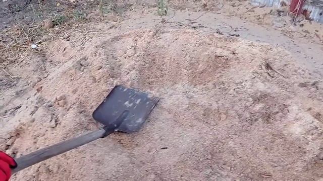 Как использовать опилки для улучшения почвы (простой способ)