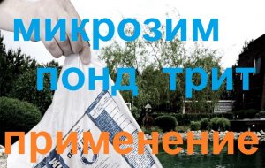 Применение Микрозима Понд Трит в пруду