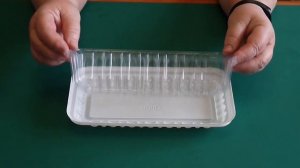 Как Посеять  Землянику (Клубнику) Семенами/ Мой Опыт 1 часть