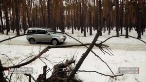 Honda HR-V с пробегом - Тест-драйв, обзор