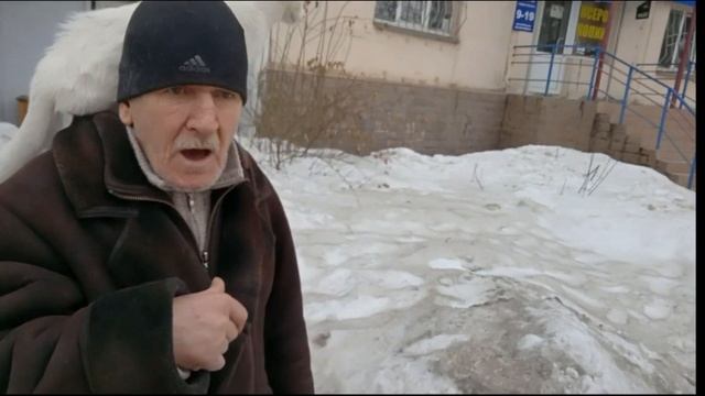 Встретили на улице кошку близняшку смотреть онлайн