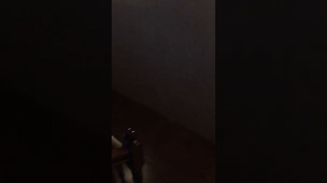 Жена для Прохора Шаляпина смотреть онлайн