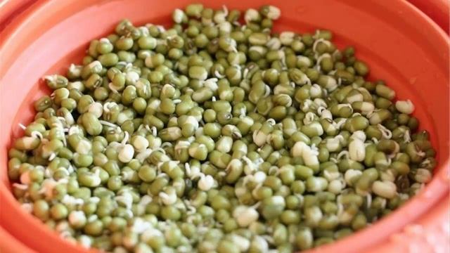 Ростки и проростки чем они полезны. смотреть онлайн