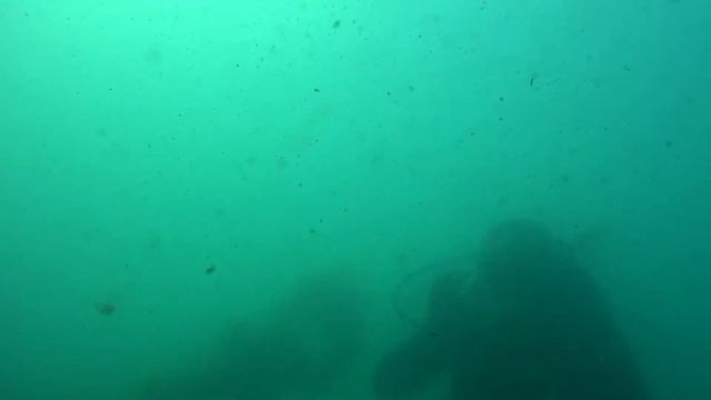 Парадайвинг в Анапе, дайв-центр "Аква-Глобус" смотреть онлайн