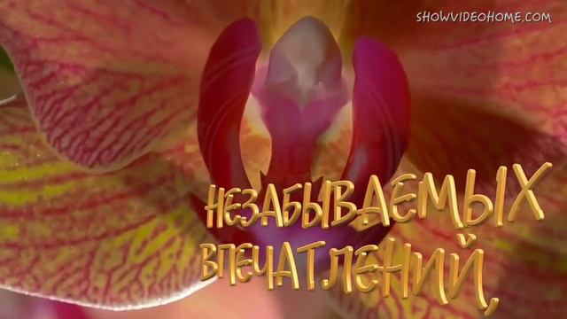 любимой дочке. С Днем Рождения Юлька!!!!!!!!!!! смотреть онлайн