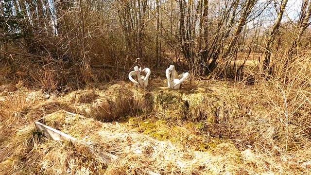 Хутор у озера. Обзор дома с бобрами. Тихое уютное место. Недвижимость на Браславских озёрах. #хутор смотреть онлайн