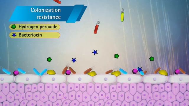 Fembio | Best Female UTI (Urinary Tract Infection) Drug | Urine Infection Medicine | uti treatment смотреть онлайн