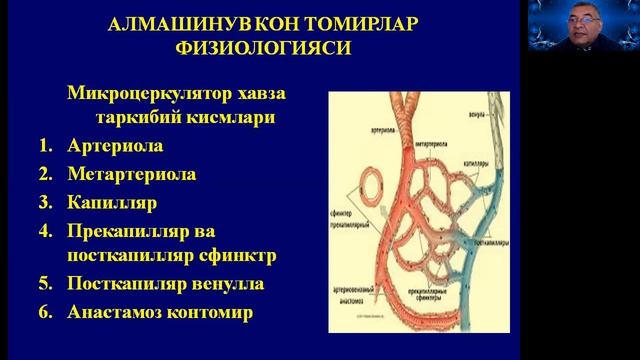 Контомир физиологияси смотреть онлайн