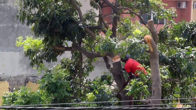 Welcome To Maputo 🇲🇿  Africa | Ep.1 | Mozambique