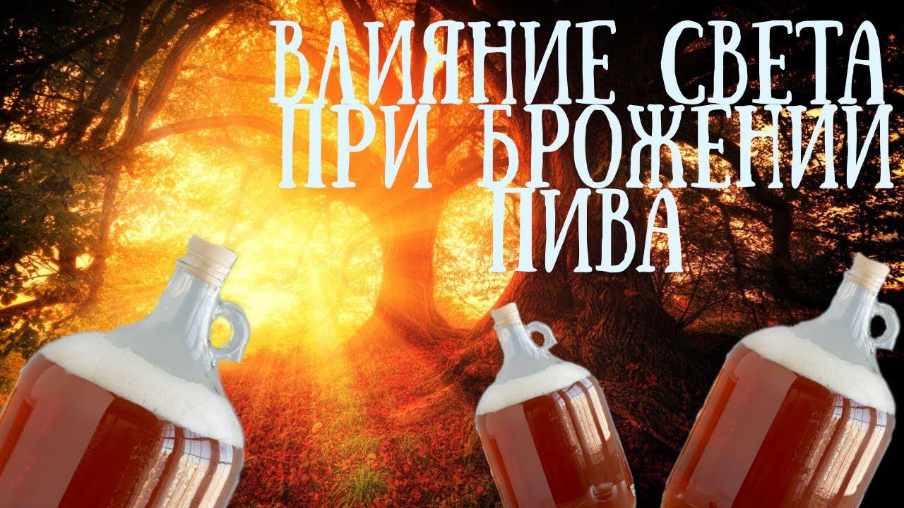 Свет это вред для пивного сусла?!!?Правда?Как свет влияет на пивное сусло при брожении! смотреть онлайн