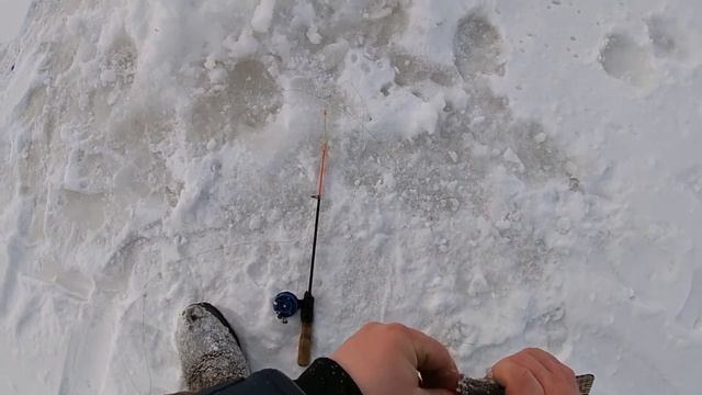 Рыбалка на озере НАО , щука и хайруз на зимнию удочку ! смотреть онлайн