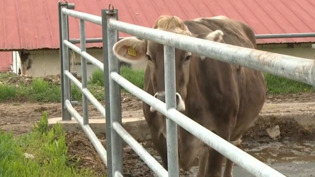 20 минут назад! Это Случилось Сегодня! смотреть онлайн