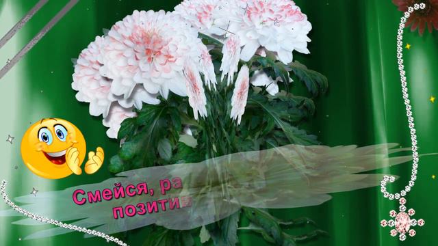 Добрый День! Счастливого настроения! смотреть онлайн