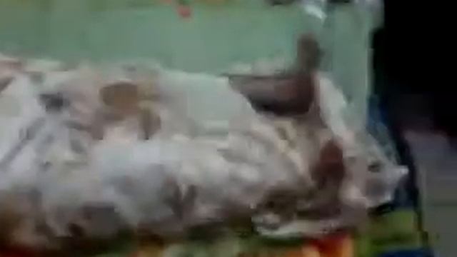 FUNNY DUBBING OF 'ROBERT HELPMAN'"VERY FUNNY MUST WATCH. смотреть онлайн