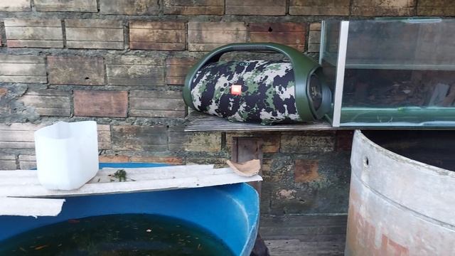 JBL Boombox 2 Tocando - Teto - Mustang Preto. смотреть онлайн