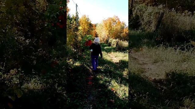 собираем . и ходими. с Тоней. смотреть онлайн