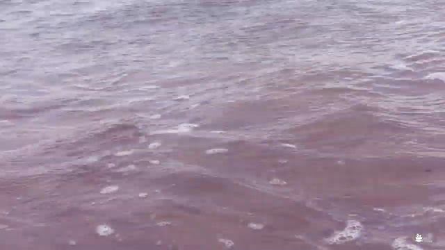 Marble Beach | Kanthale Tank | Best Places to travel in Sri Lanka | Beach side | Sri Lanka|BBQ Nigh смотреть онлайн