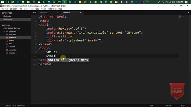 The Best Code Editor for Programmers Part# 11 | All Auto Complete package in Sublime | Hindi/Urdu смотреть онлайн