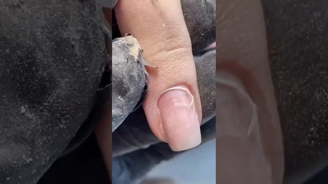 Издержки профессии #маникюр #nail #nails #френч #дизайнногтей #дизайн #ногти #гельлаклюберцы смотреть онлайн