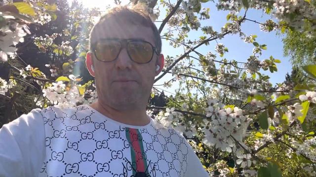 В чем же разница между 3D, 4 и 5D? смотреть онлайн