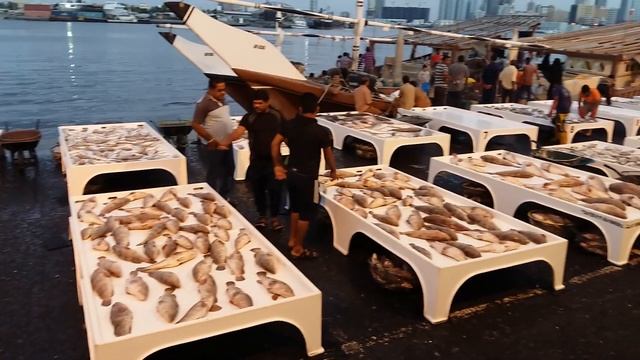 Рыбный рынок в Аджмане Объединенные Арабские Эмираты - Ajman Fish Market UAE смотреть онлайн