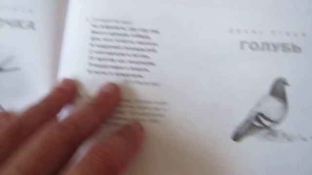 Домашние и дикие птицы средней полосы. Мир животных смотреть онлайн