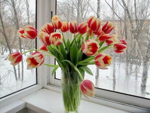 Дарите женщинам цветы..