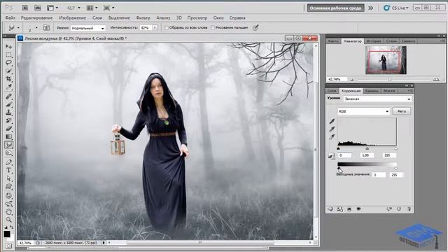 Photoshop Создаём коллаж с лесной колдуньей Часть №1 Елена Минакова смотреть онлайн
