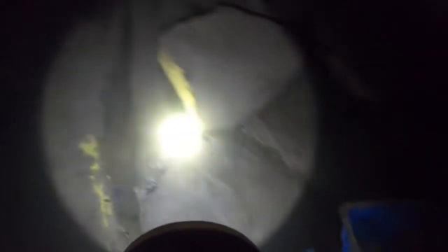 二哥赶海抓辣螺，落大潮来到无人岛发现辣螺窝，看能爆桶不 смотреть онлайн