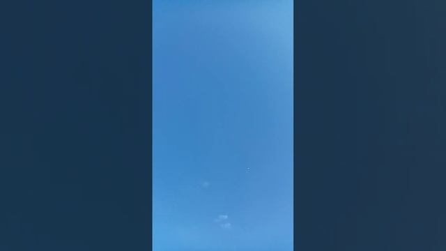 Голуби Липецкой области в Волово. смотреть онлайн