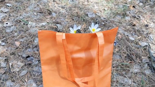 Сумки из RPET смотреть онлайн