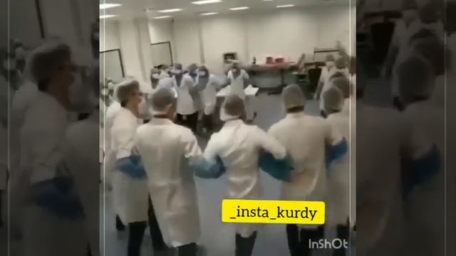 Kurdish Song And Dance ♡♡♡ Курдские песни и танцы & курдская молодеж  , врачи из Курдистана